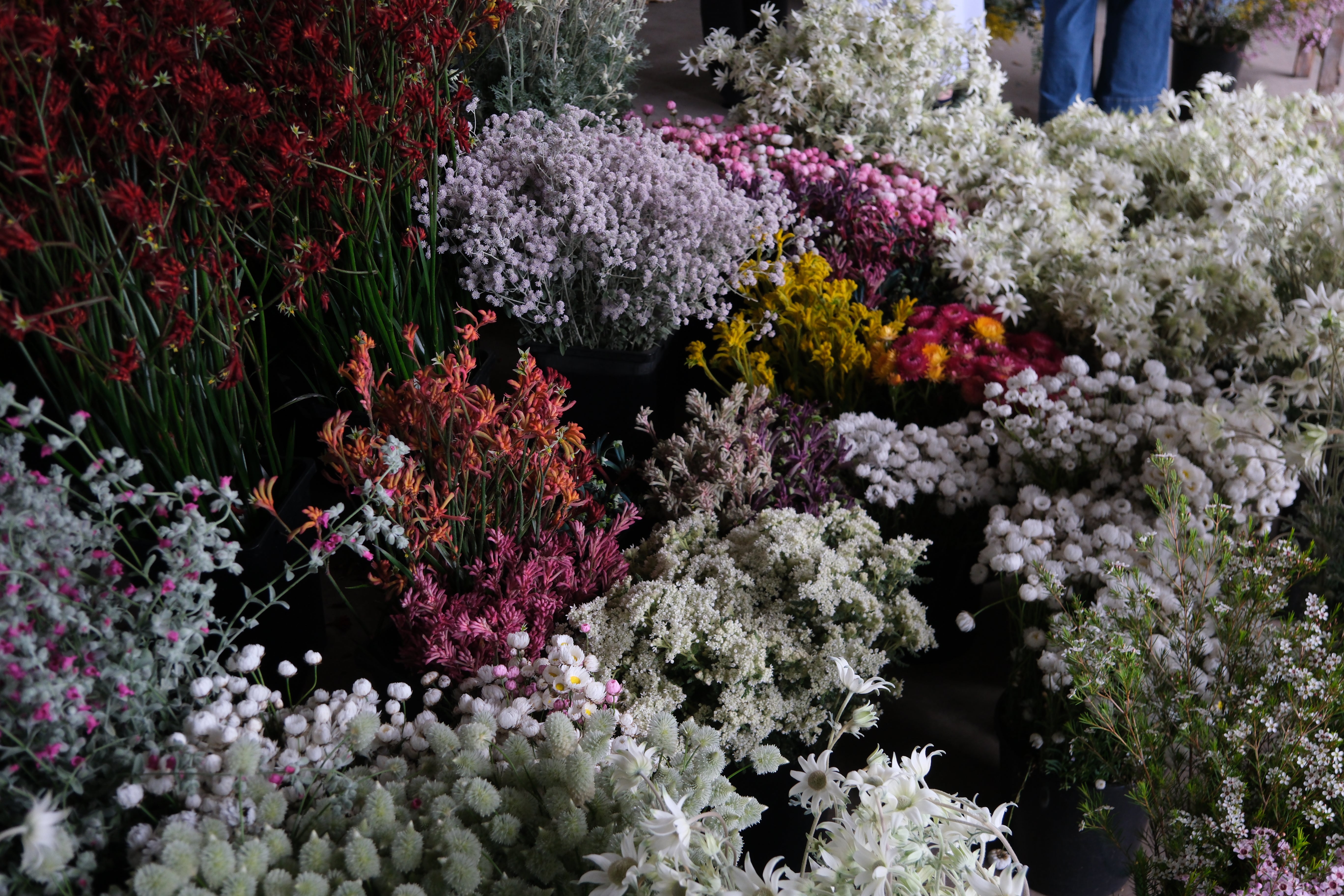 Spring Flower Workshop at East Coast Wildflowers Farm with Salon