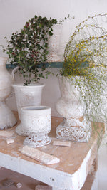Load image into Gallery viewer, Tom Mason Filigree Short Vase, 2026