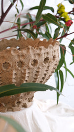 Load image into Gallery viewer, Objects Of Virtue Buff Raku Pot #297