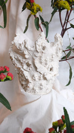 Load image into Gallery viewer, Objects Of Virtue Ceramic Pot #303