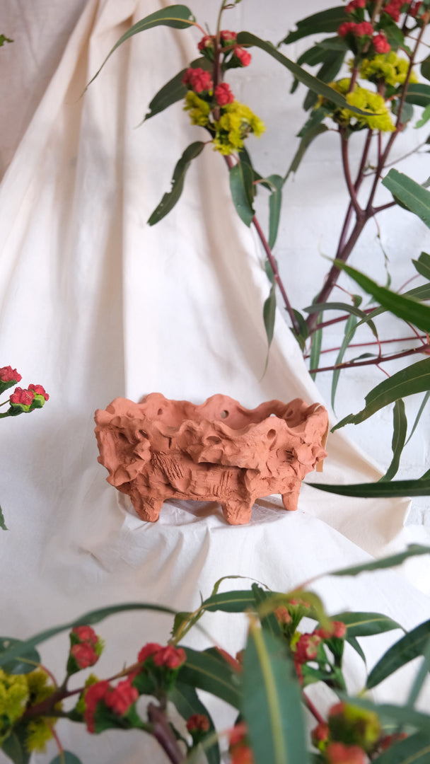 Objects Of Virtue Terracotta Pot #299
