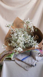 Load image into Gallery viewer, en Masse Flannel Flowers