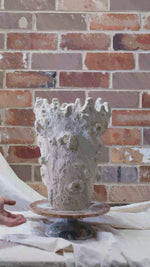 Load and play video in Gallery viewer, Objects Of Virtue Ceramic Ivory Pot #232